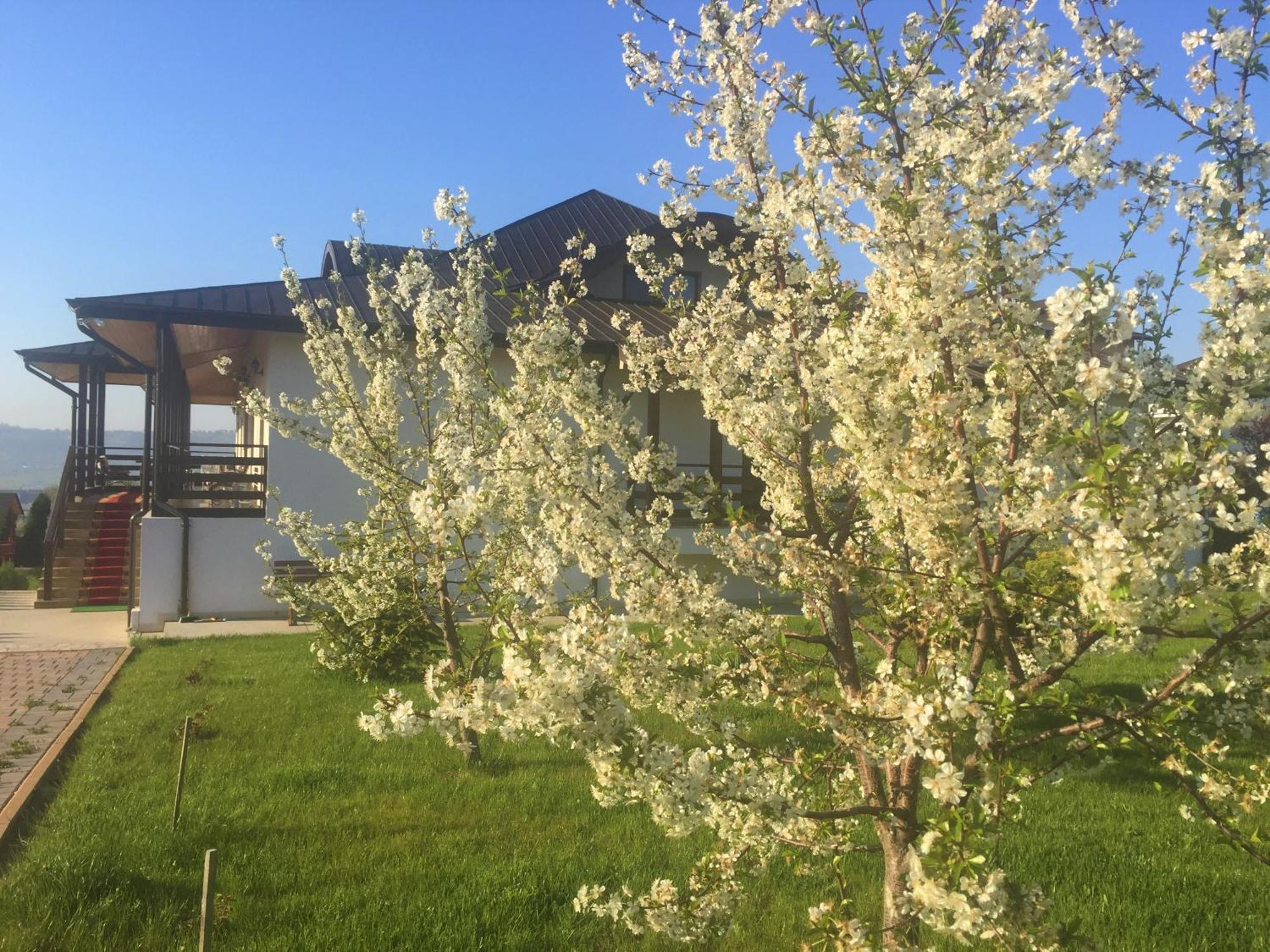 Tango Margo Hotel Valea Lupului  Buitenkant foto
